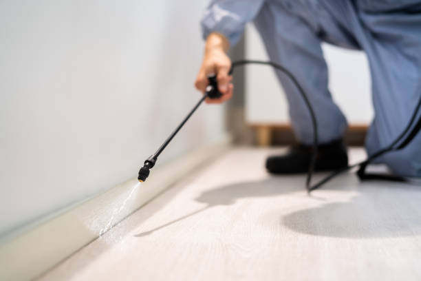 Licensed Termite Control service in Jersey County County, IL - Nex Pest Control