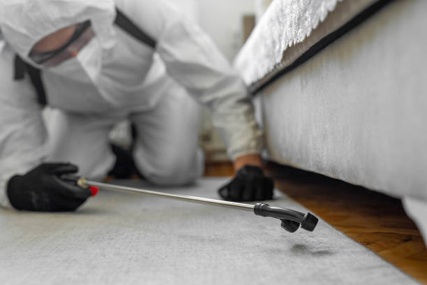 Professional Termite Control technician working in Jersey County County, IL